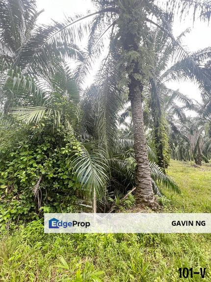 [ AAA STOCK ] 4.57 ACRES~ Air Hitam Klang Agriculture Land Zoning Industrial , Selangor, Klang