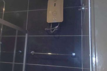 Amberside Country Garden @ Danga Bay