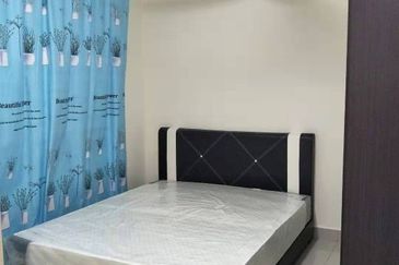 The Arc At Austin Hill