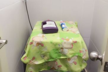 Impiana @ East Ledang