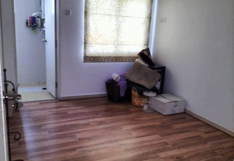 Seri Palma (Botani Palma)