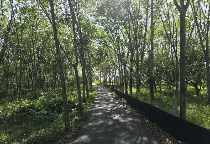 Kuala Kangsar Perak Agriculture Land