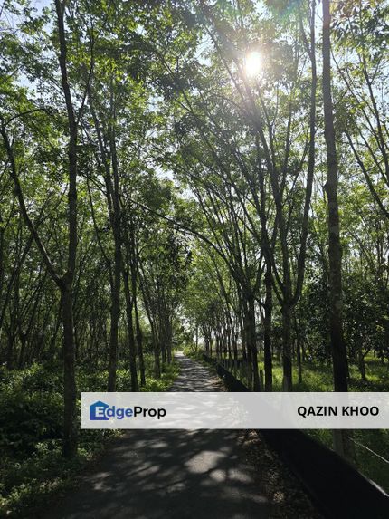 Kuala Kangsar Perak Agriculture Land, Perak, Kuala Kangsar