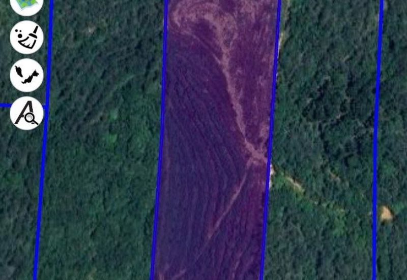 Kuala Kangsar Kampung Baru Liman Kati Agriculture Land