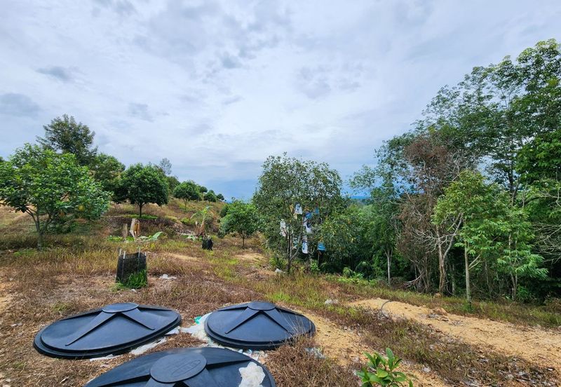 Kuala Kangsar Kampung Baru Liman Kati Agriculture Land