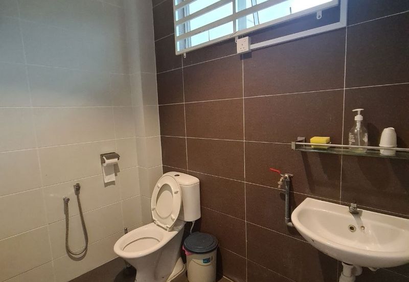 Cannning II @ Canning Garden