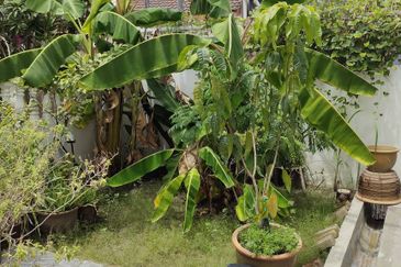 Menglembu Taman Desa Rishah Double Storey Terrace House