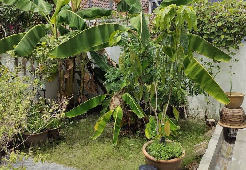 Menglembu Taman Desa Rishah Double Storey Terrace House