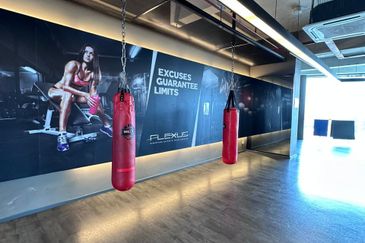 Flexus Signature Suites