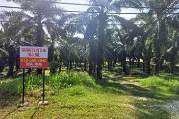 Tanah Kelapa Sawit Untuk Dijual (agricultural land for sale)