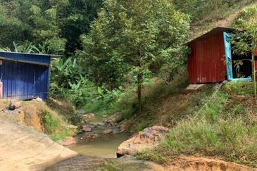 Dusun Durian Tras Raub 14.9 Ekar ✅ GOOD INVESTMENT 600K FOR 1 SEASON 