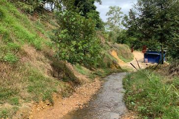 Dusun Durian Tras Raub 14.9 Ekar ✅ GOOD INVESTMENT 600K FOR 1 SEASON 