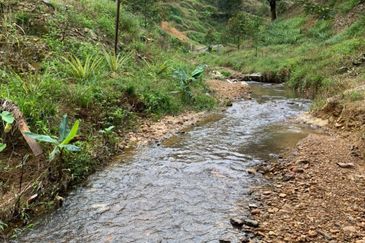 Dusun Durian Tras Raub 14.9 Ekar ✅ GOOD INVESTMENT 600K FOR 1 SEASON 