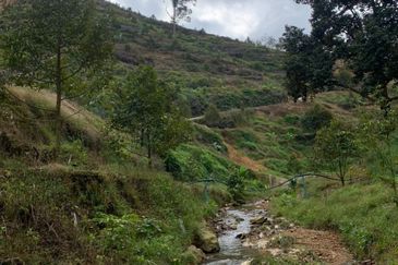 Dusun Durian Tras Raub 14.9 Ekar ✅ GOOD INVESTMENT 600K FOR 1 SEASON 