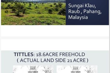 19 Ekar Dusun Durian Musang King & Black Thorn,  Raub Pahang  ✅GOOD INVESTMENT 600K FOR 1 SEASON ✅ FREEHOLD ✅ Infra structure ready ✅ Terrace land 