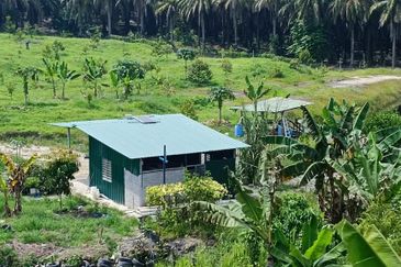 19 Ekar Dusun Durian Musang King & Black Thorn,  Raub Pahang  ✅GOOD INVESTMENT 600K FOR 1 SEASON ✅ FREEHOLD ✅ Infra structure ready ✅ Terrace land 