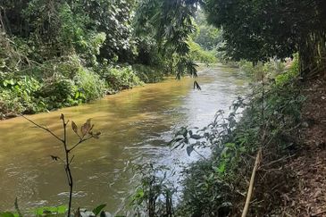  Dusun Durian 3 Ekar Batang Kali Selangor   ✅GOOD INVESTMENT 300K FOR 1 SEASON ✅ FREEHOLD