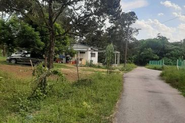  Dusun Durian 3 Ekar Batang Kali Selangor   ✅GOOD INVESTMENT 300K FOR 1 SEASON ✅ FREEHOLD