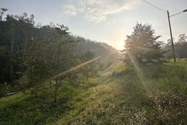 Dusun Durian BLACK THORN & MUSANG KING 6 Ekar at Serendah, Selangor ✅GOOD INVESTMENT ✅FREEHOLD ✅Accessible by Normal Car ✅ Ready INFRA