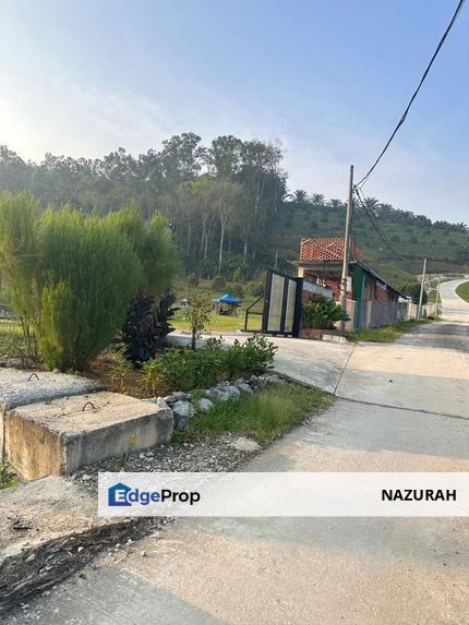 Dusun Durian BLACK THORN & MUSANG KING 6 Ekar at Serendah, Selangor ✅GOOD INVESTMENT ✅FREEHOLD ✅Accessible by Normal Car ✅ Ready INFRA, Selangor, Serendah