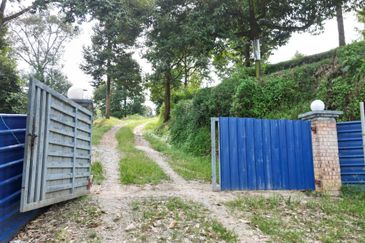 Dusun Durian BLACK THORN,D24, D2, DEKA & MUSANG KING 6 Ekar at Sg Pertak Batu 23 Karak