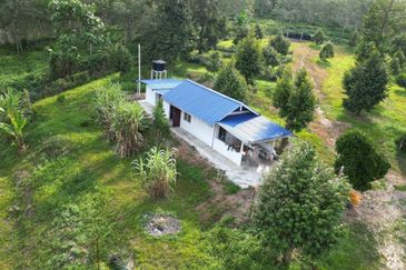 Dusun Durian BLACK THORN,D24, D2, DEKA & MUSANG KING 6 Ekar at Sg Pertak Batu 23 Karak