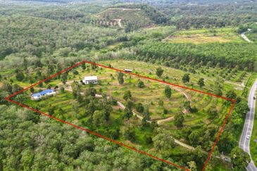 Dusun Durian BLACK THORN,D24, D2, DEKA & MUSANG KING 6 Ekar at Sg Pertak Batu 23 Karak