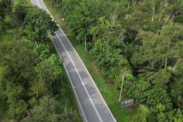 Dusun Durian BLACK THORN,D24, D2, DEKA & MUSANG KING 6 Ekar at Sg Pertak Batu 23 Karak