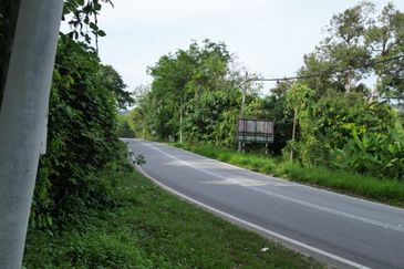 Dusun Durian BLACK THORN,D24, D2, DEKA & MUSANG KING 6 Ekar at Sg Pertak Batu 23 Karak