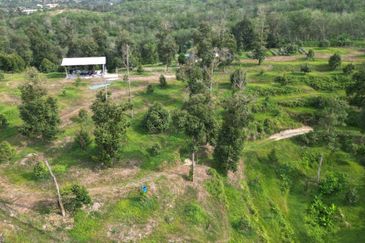 Dusun Durian BLACK THORN,D24, D2, DEKA & MUSANG KING 6 Ekar at Sg Pertak Batu 23 Karak
