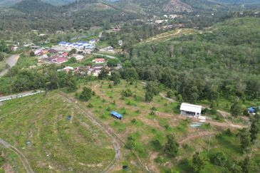 Dusun Durian BLACK THORN,D24, D2, DEKA & MUSANG KING 6 Ekar at Sg Pertak Batu 23 Karak