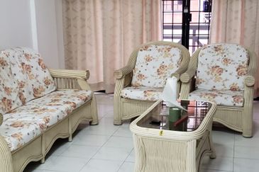 Evergreen Park Acorn and Hazel