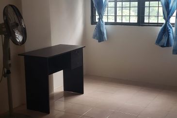 Evergreen Park Acorn and Hazel