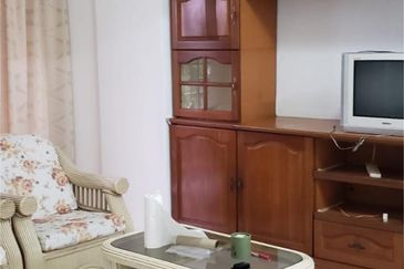 Evergreen Park Acorn and Hazel