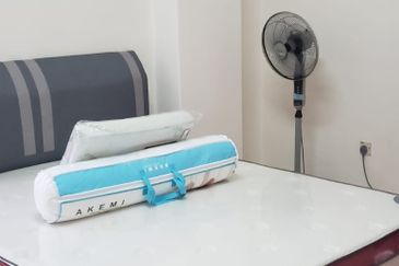 Evergreen Park Acorn and Hazel