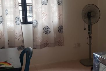 Evergreen Park Acorn and Hazel