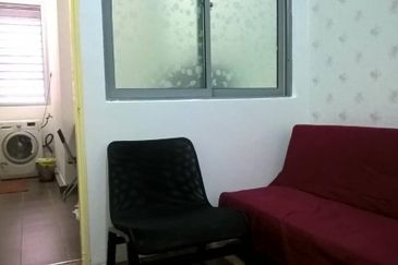 Taragon Puteri Bintang