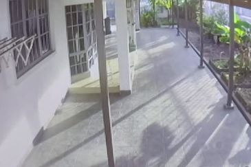 Overseas Union Garden