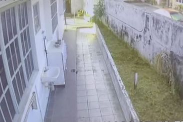 Overseas Union Garden