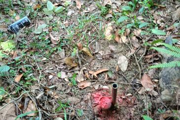 Tanah Kebun Getah Di Batu Hampar untuk Di Jual