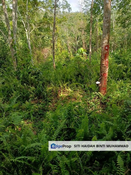 Tanah Kebun Getah Di Batu Hampar untuk Di Jual, Negeri Sembilan, Rembau