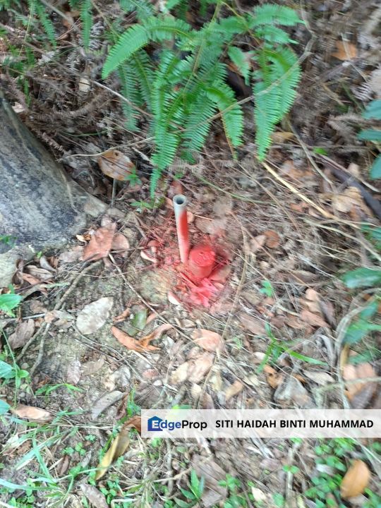 Tanah Kebun Getah Di Batu Hampar untuk Di Jual, Negeri Sembilan, Rembau