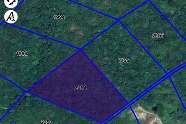 HULU LANGAT BATU 18 TANAH PERTANIAN RIZAB MELAYU FREEHOLD