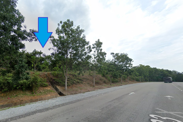 DURIAN TUNGGAL MELAKA AGRICULTURE LAND