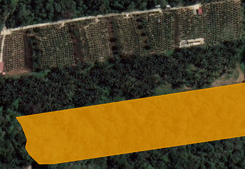 TANAH PERTANIAN TAPAH LAND PERAK FREEHOLD OPEN