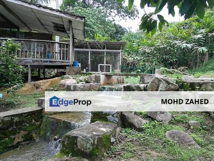 PRIVACY END LOT Land Kampung Janda Baik Bentong Pahang, Pahang, Bentong