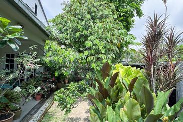 Taman Tun Dr Ismail (TTDI)