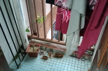 Level 1 pangsamurni keramat jaya 2 titiwangsa kl