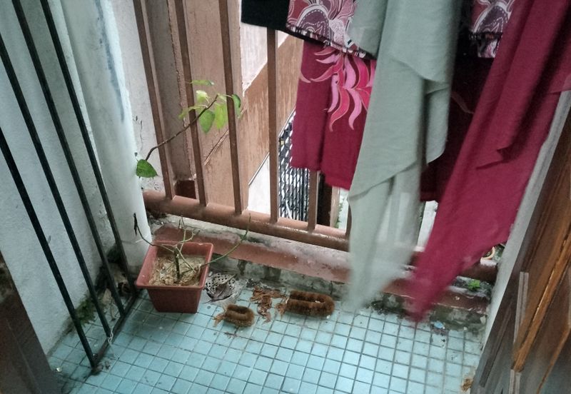 Level 1 pangsamurni keramat jaya 2 titiwangsa kl