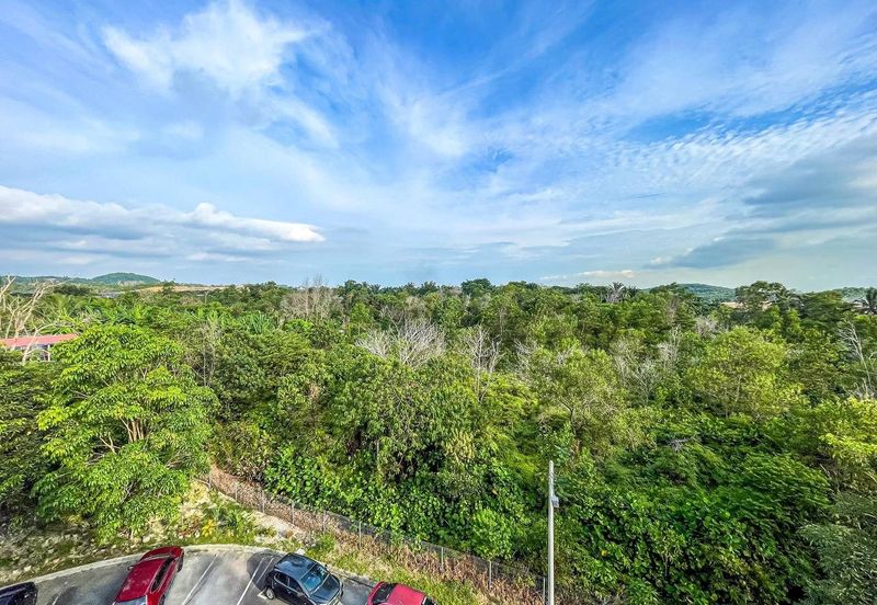 Dahlia Court Apartment